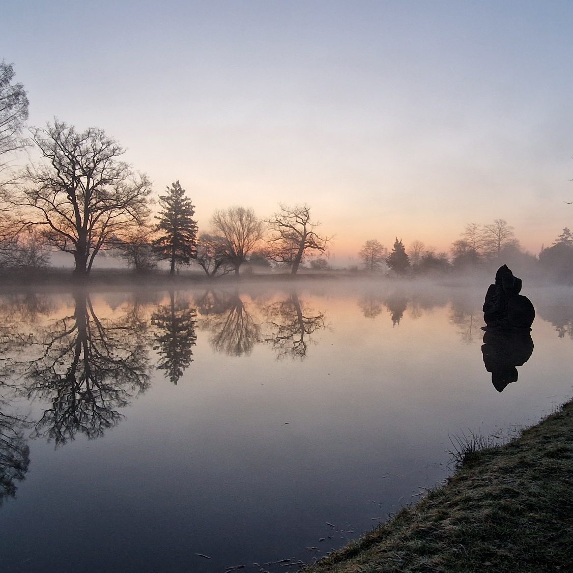 Im Wasser gespiegelte Baumreihe